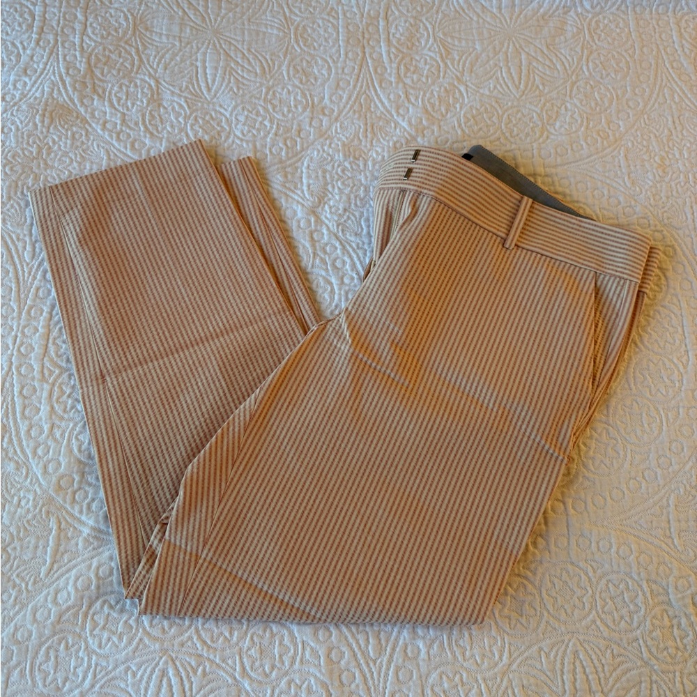 Ann Taylor Peach Ankle/Cropped Pants size 10
